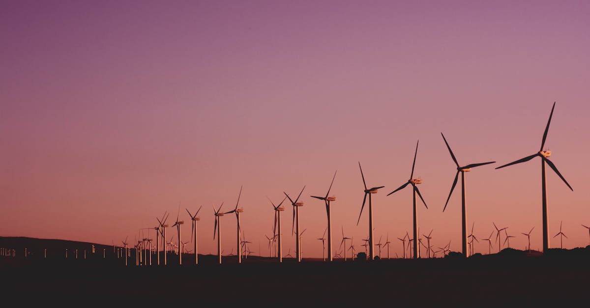 Why wind energy is a viable solution for the future